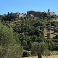 Castelnuovo_dell'abate