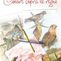 colori-sopra-le-righe