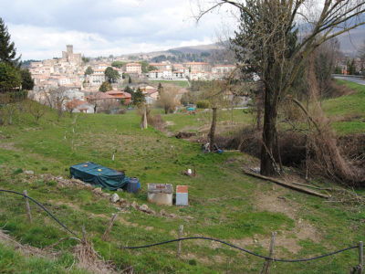 Area Fosso del Giunco