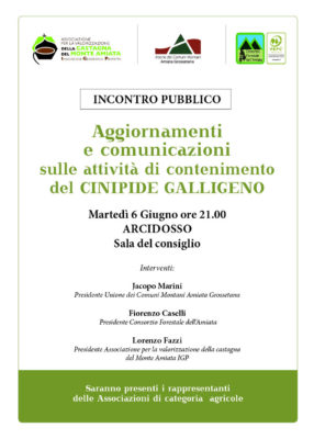 INCONTRO 6 GIUGNO VOLANTINO