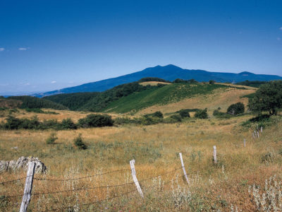 Parco faunistico- Susanna Nanni