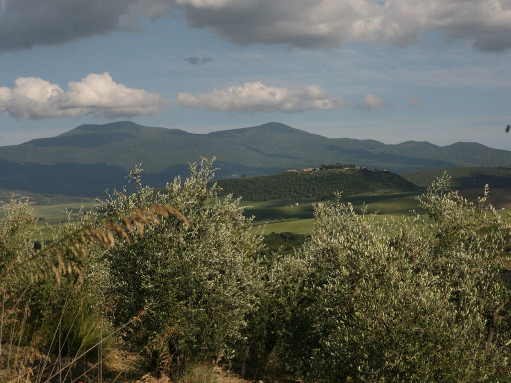 amiata-da-sant'angelo-con-ulivi-1