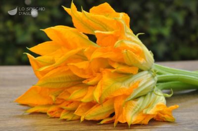 fiorizucca