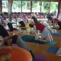 yantra yoga merigar