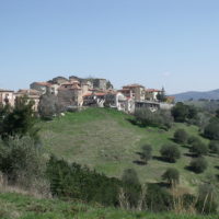 cinigiano