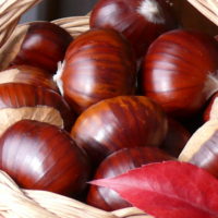 castagne