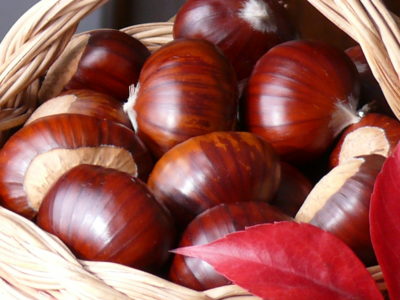 castagne