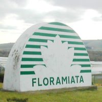 floramiata