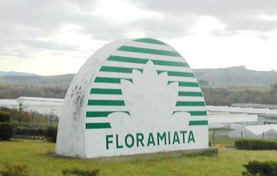 floramiata