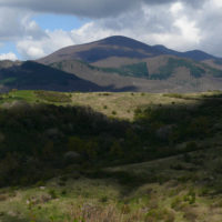 Amiata