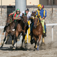 Badini-Palio-Piancastagnaio