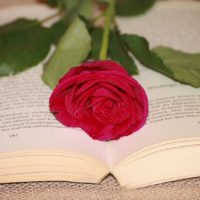 libro rose