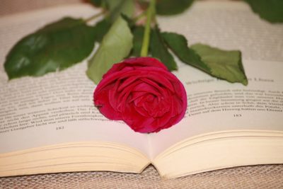 libro rose