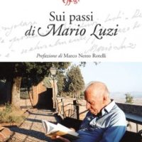 sui-passi-di-mario-luzi-237x331