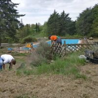 ecosistema comunale castelll'azzara