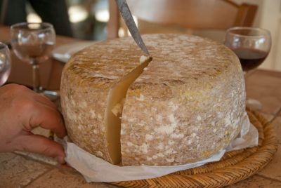formaggio