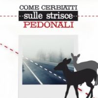 come-cerbiatti-sulle-strisce-pedonali-237x332