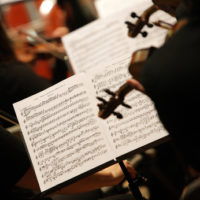 violinists during a classical concert music, focus on sheet music