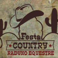 Festa Country copia
