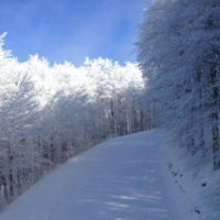 pista amiata neve