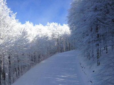 pista amiata neve