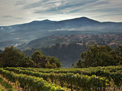 castel-del-piano-panorama1