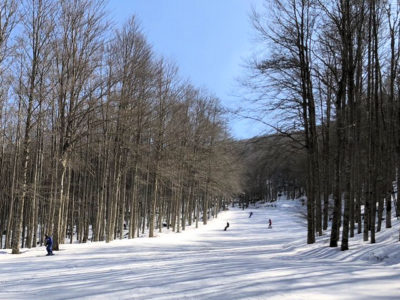 neve marzo 2019