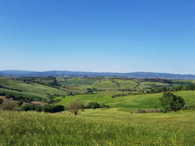 cinigiano panorama