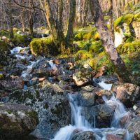 torrente sorgente