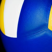 volley pallavolo